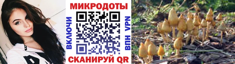 Галлюциногенные грибы GOLDEN TEACHER Усть-Джегута